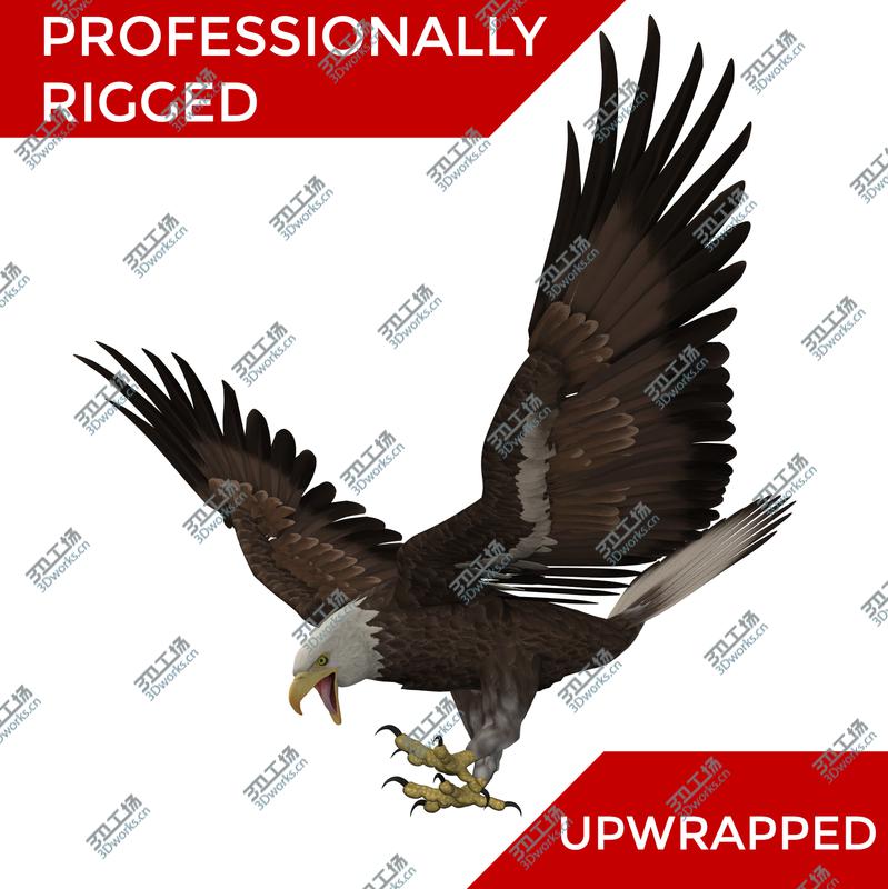 images/goods_img/202105071/3D 3D Bald Eagle American Rigged Model model/1.jpg